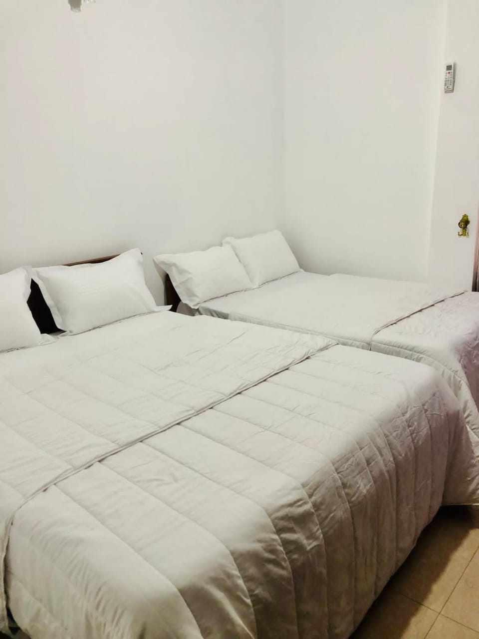 PEONY luxury Homestay - Anuradhapura Bed and Breakfast in Sri Lanka