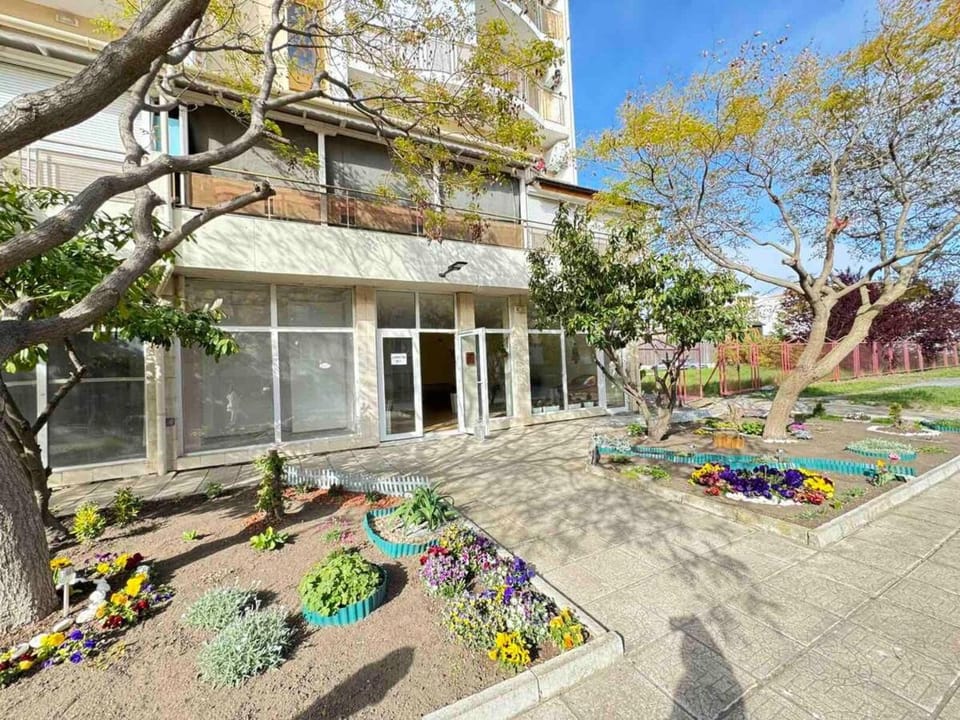 Property building, Day