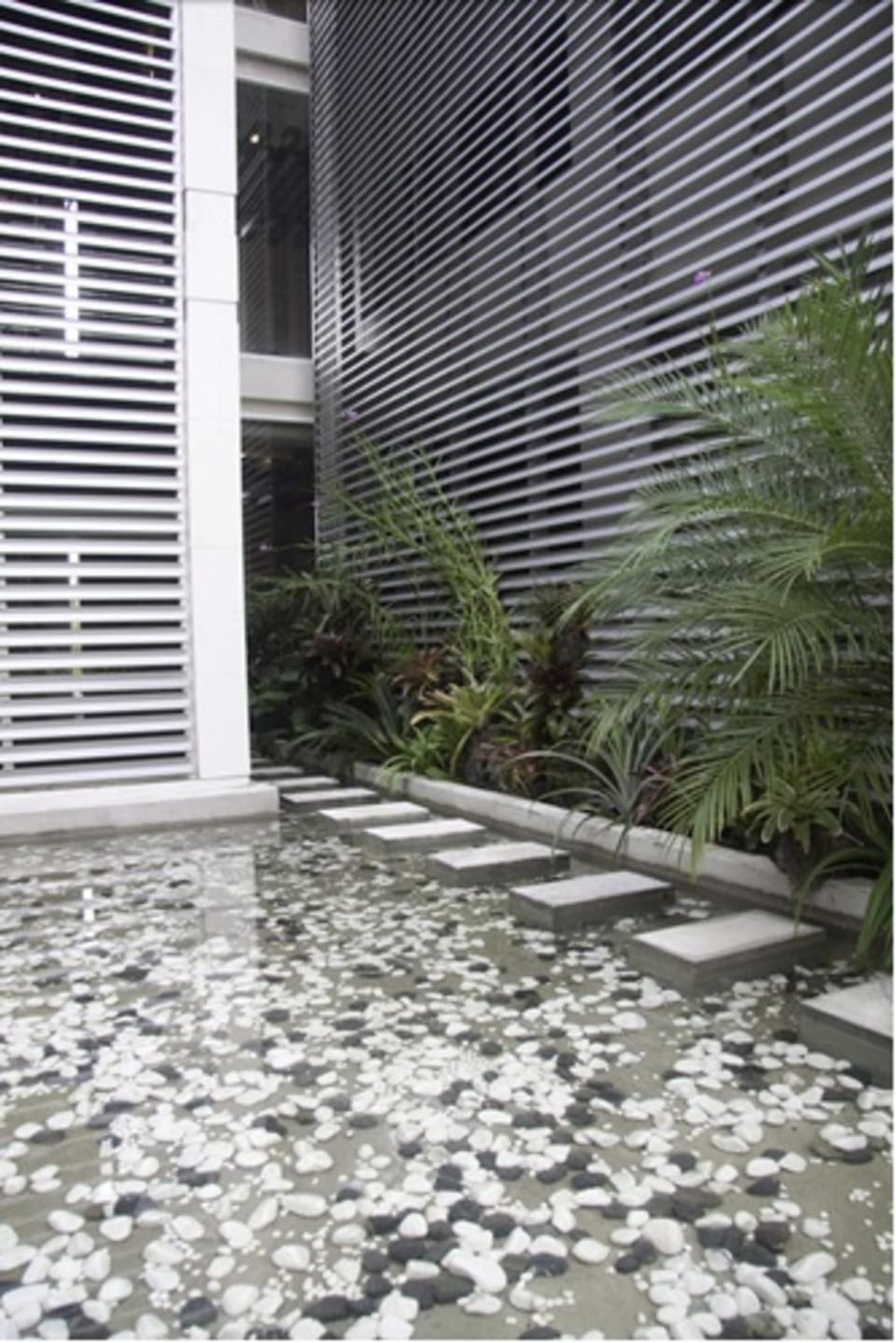 Garden view