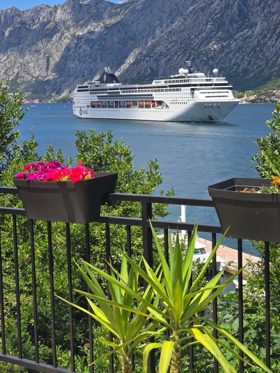 Apartman Jelena Apartment in Montenegro