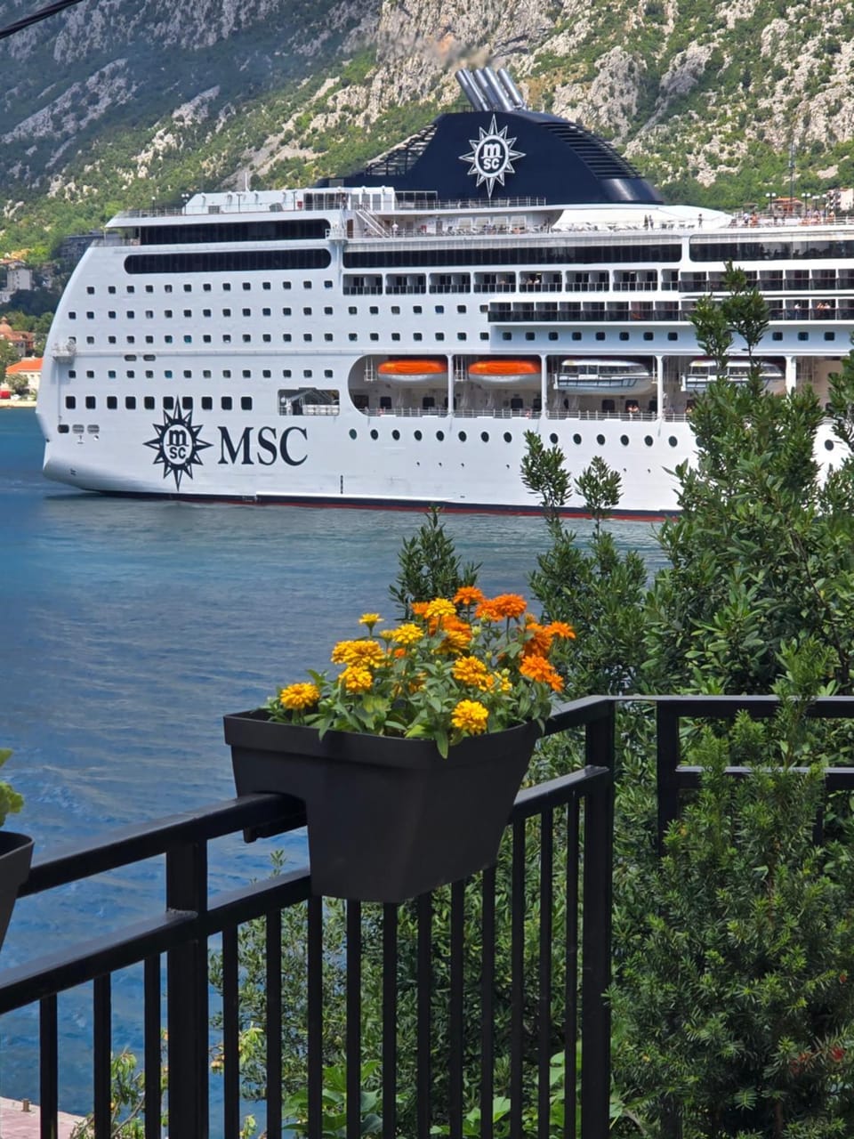 Apartman Jelena Apartment in Montenegro