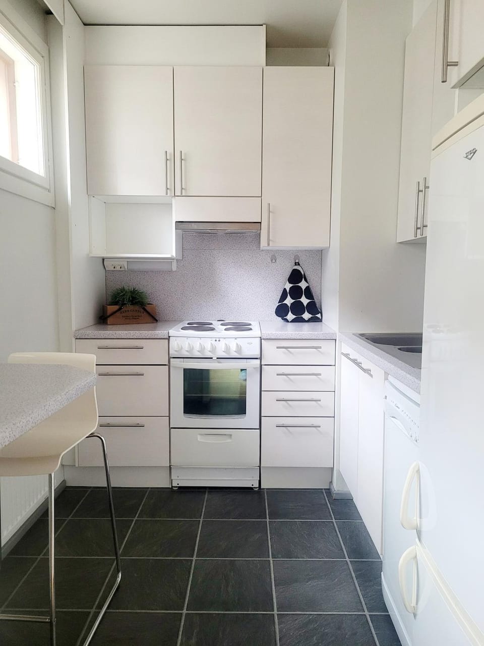 Kitchen or kitchenette, dishwasher, oven