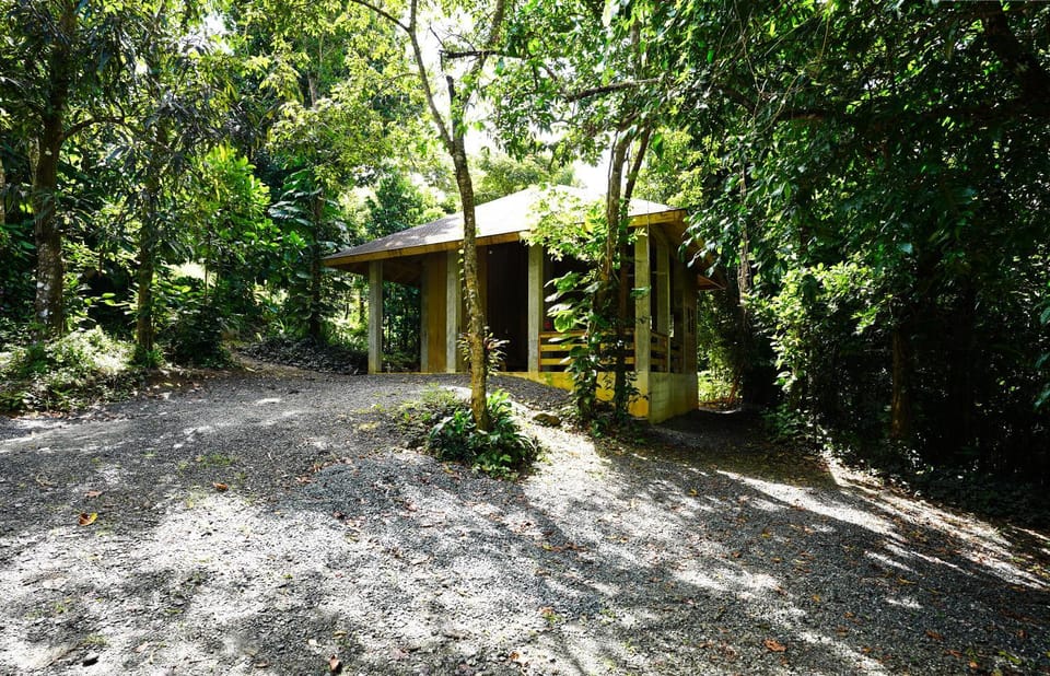 Patio, Spring, Natural landscape