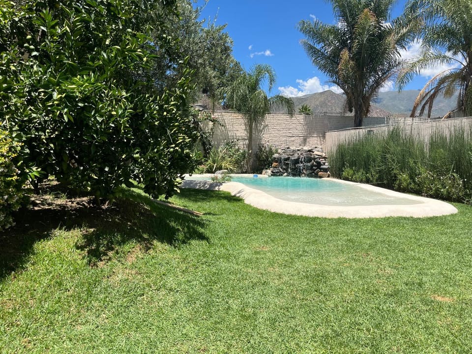 Garden, Swimming pool
