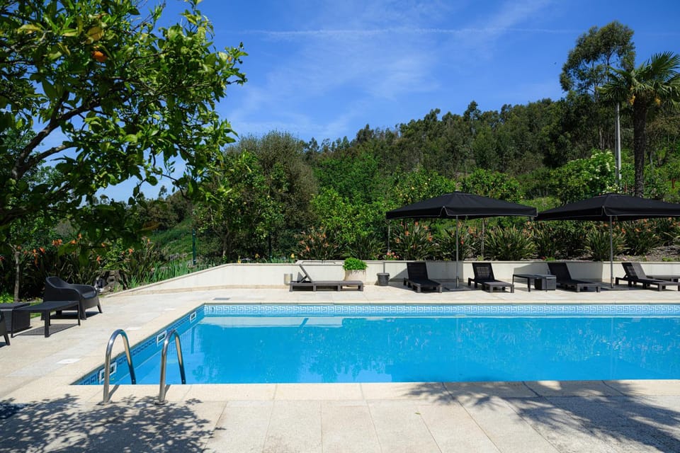Garden, Pool view, Swimming pool, sunbed