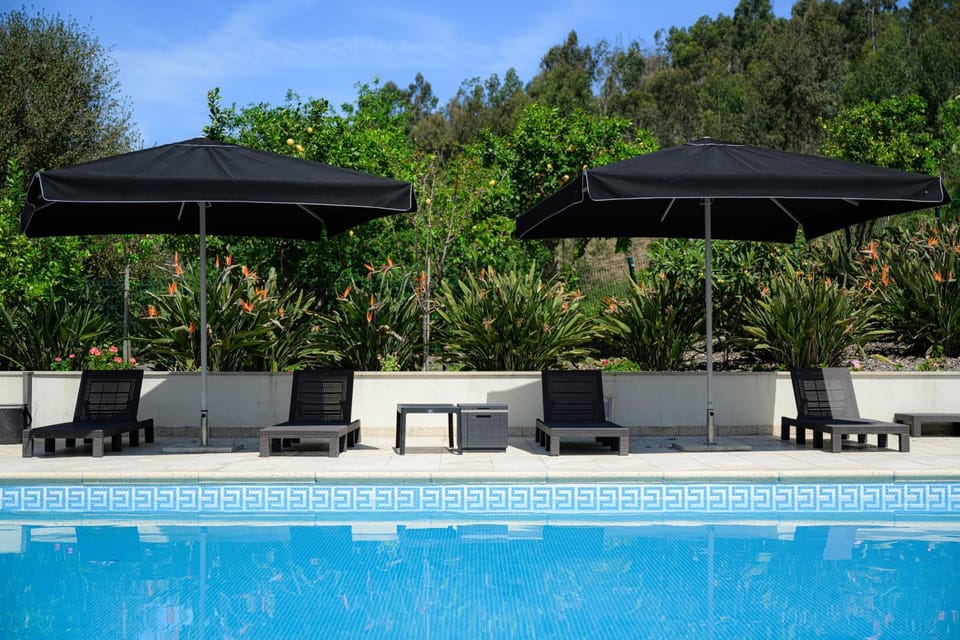 Garden, Swimming pool, sunbed