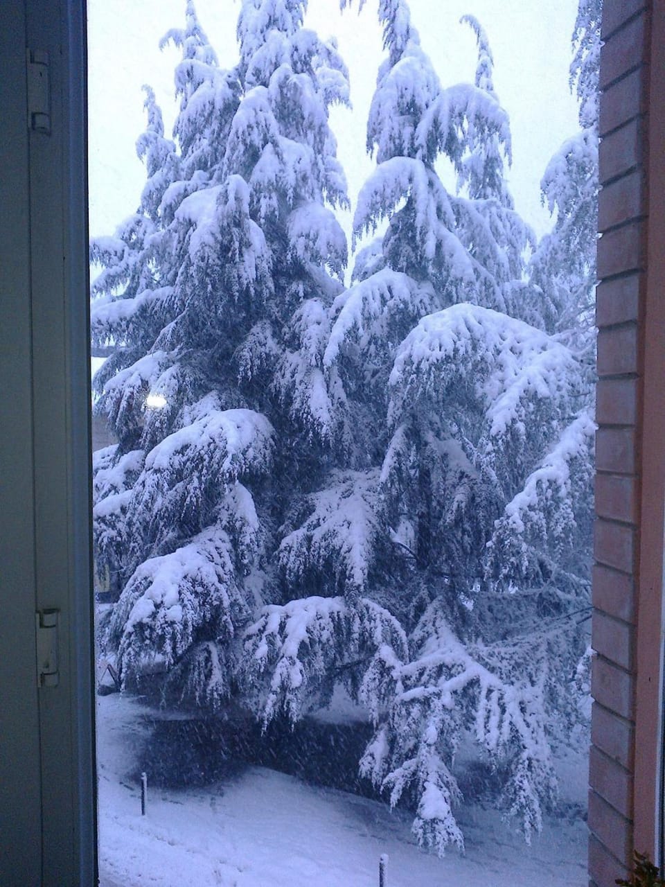 Winter, View (from property/room)