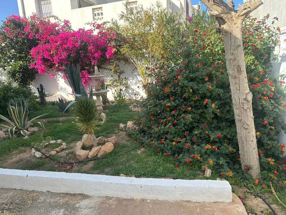 Garden view
