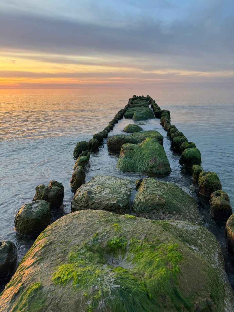 Sunbella Sarbinowo Apartment in West Pomeranian Voivodeship, Poland