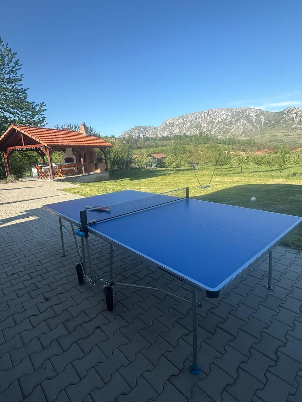 Table tennis