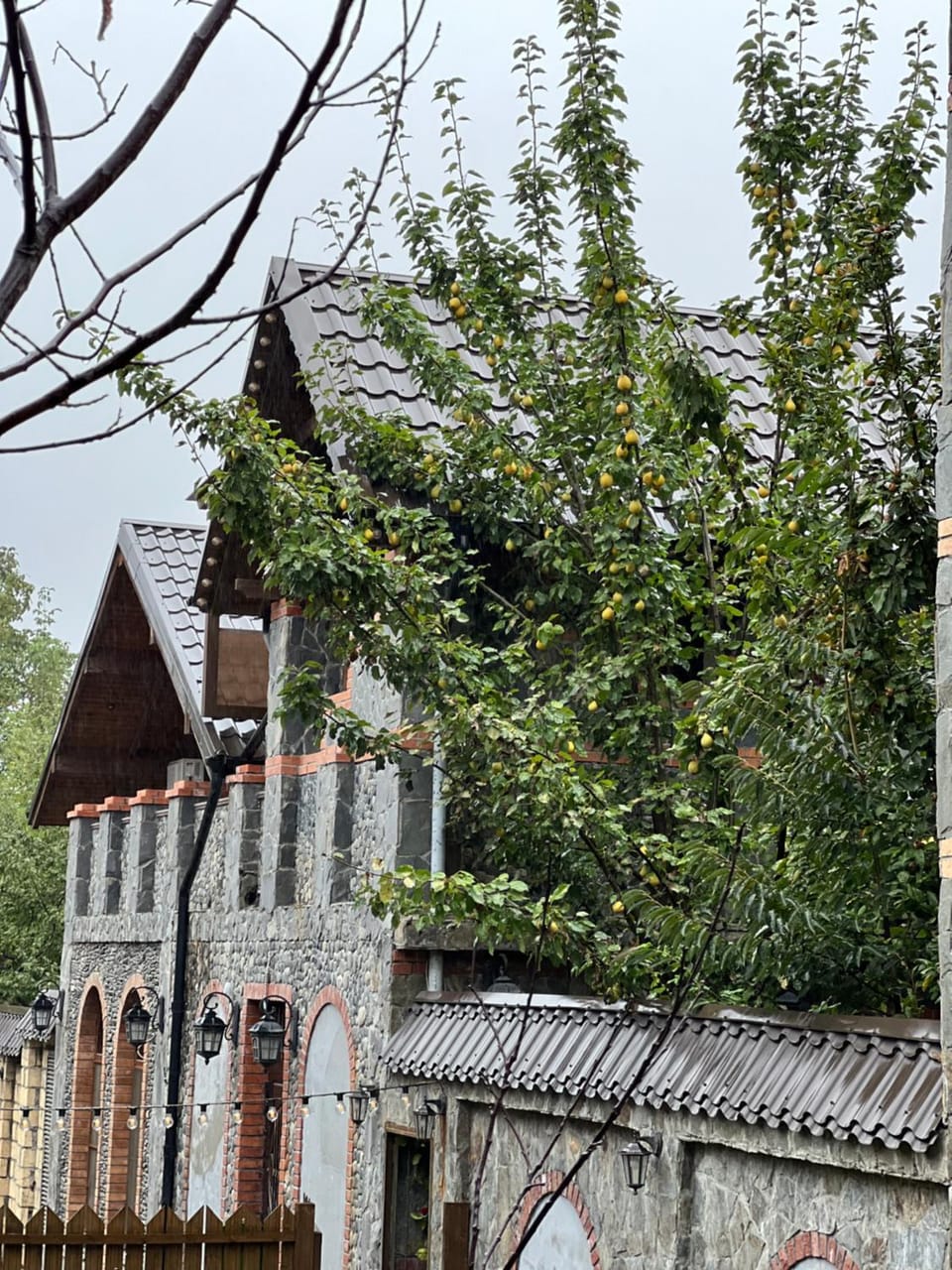 QahramanoffsChalet Chalet in Azerbaijan