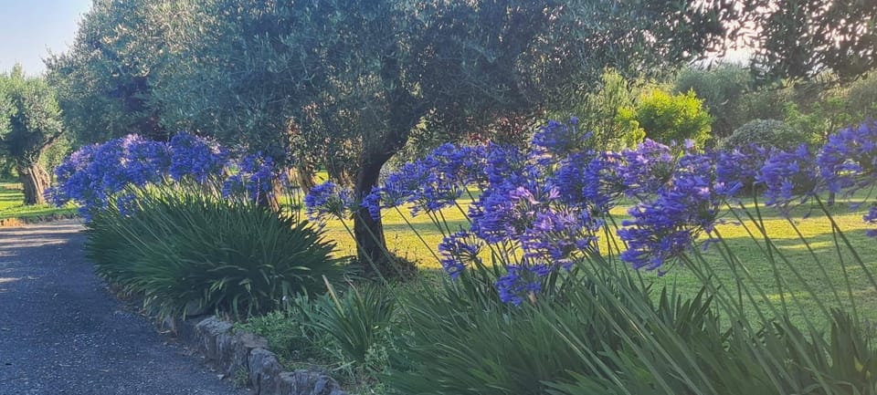Baglio di Luna Alloggio Turistico Vacation rental in Lazio