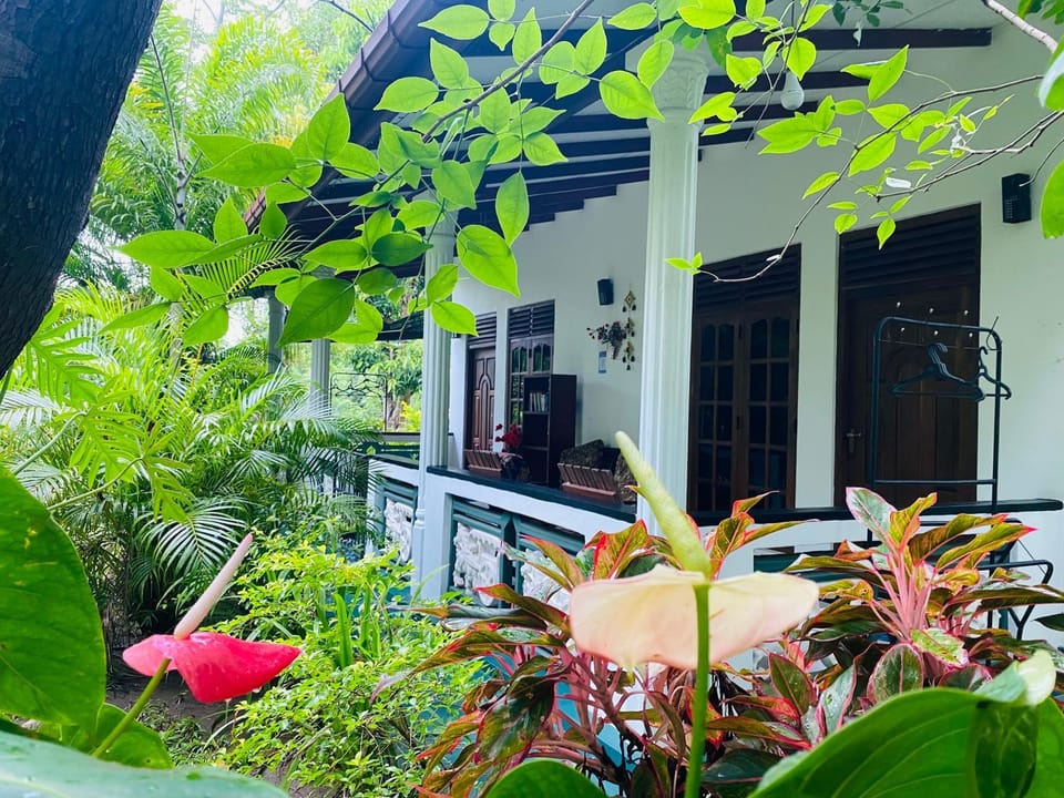 Property building, Patio, Garden view