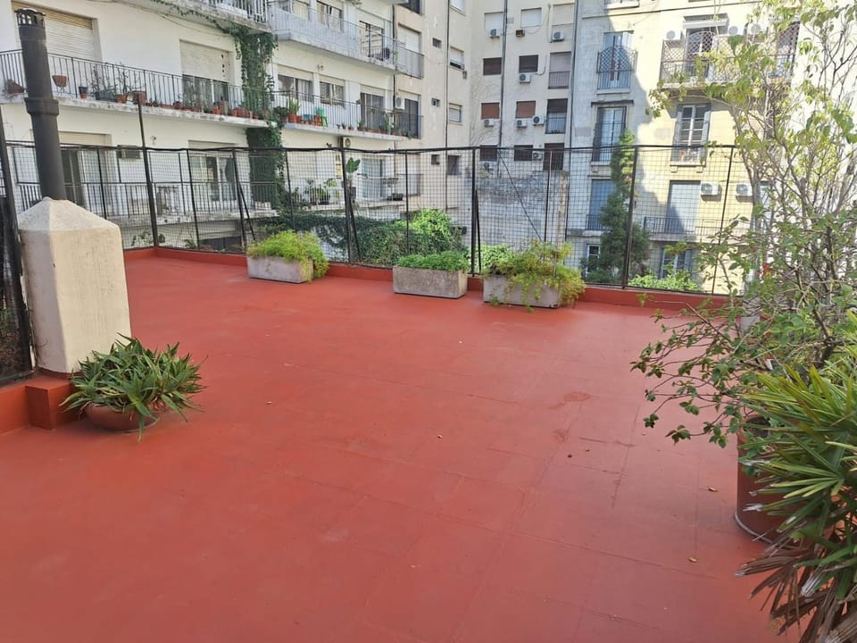 Day, Garden, Garden view