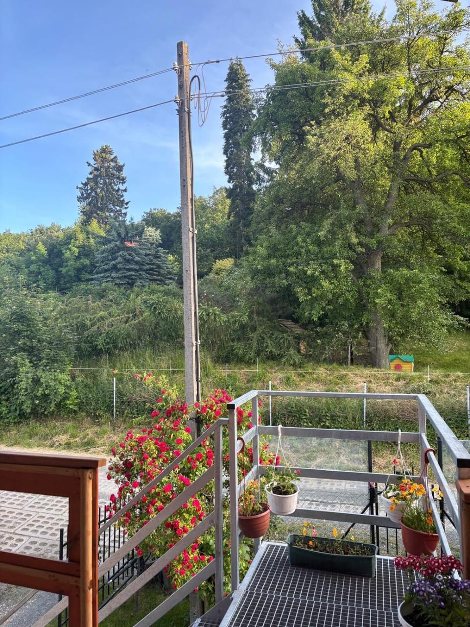 Property building, Natural landscape