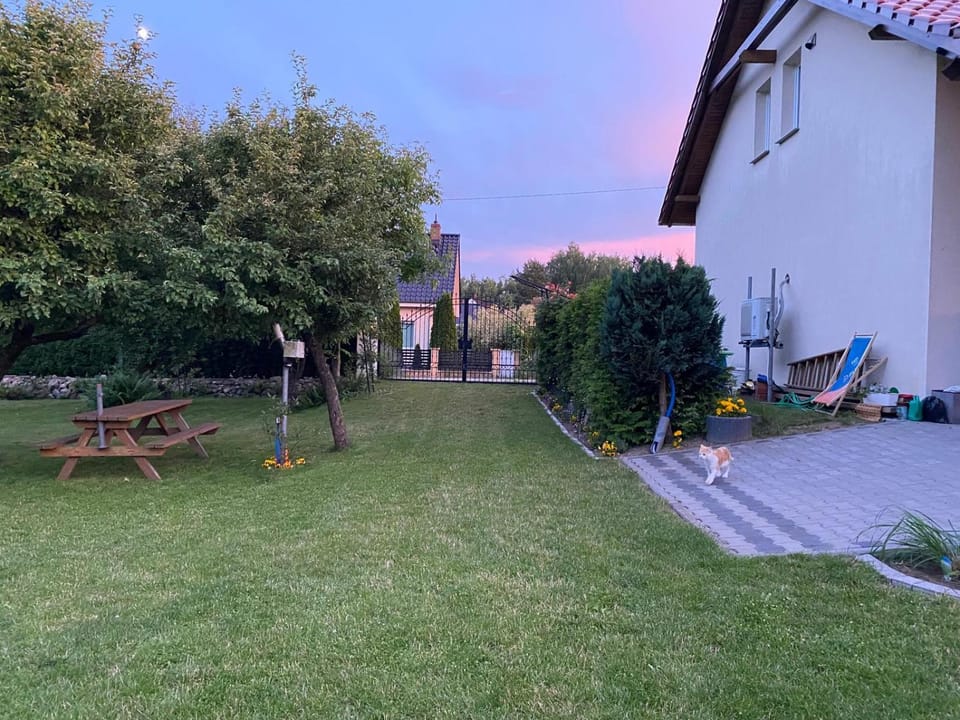 Natural landscape, Garden, Garden view