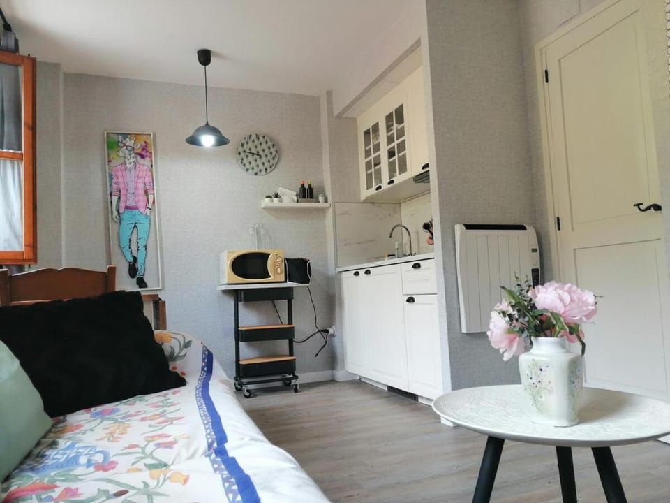 Estudio rústico y funcional perfecto para parejas - Cuc 4 Apartment in Pla de l'Ermita