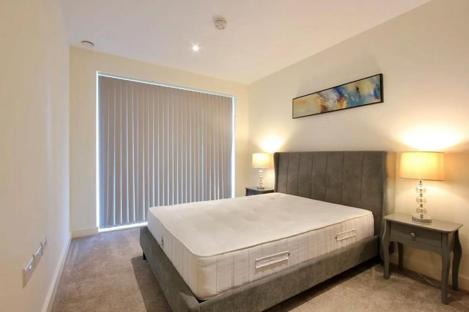 Luxury 2 Bedroom Apartment in Central London Apartment in London