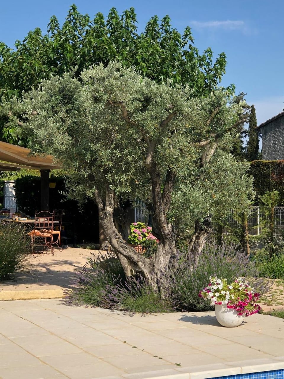 Garden view