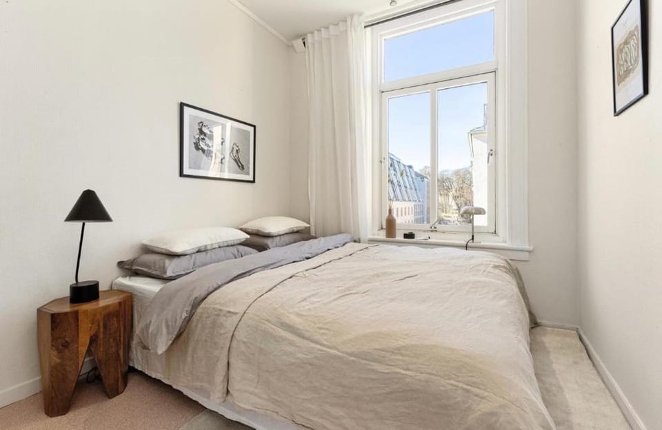 Experience Oslo from its very center Apartment in Oslo