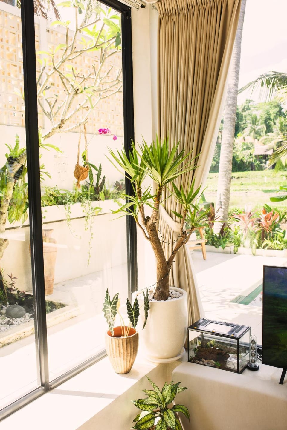 Patio, Day, Garden, View (from property/room), Garden view