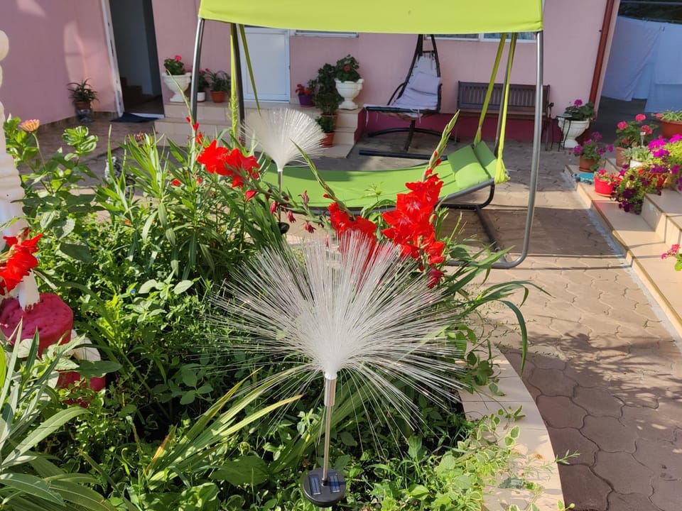 La Fery din Costinesti Bed and Breakfast in Constanța County