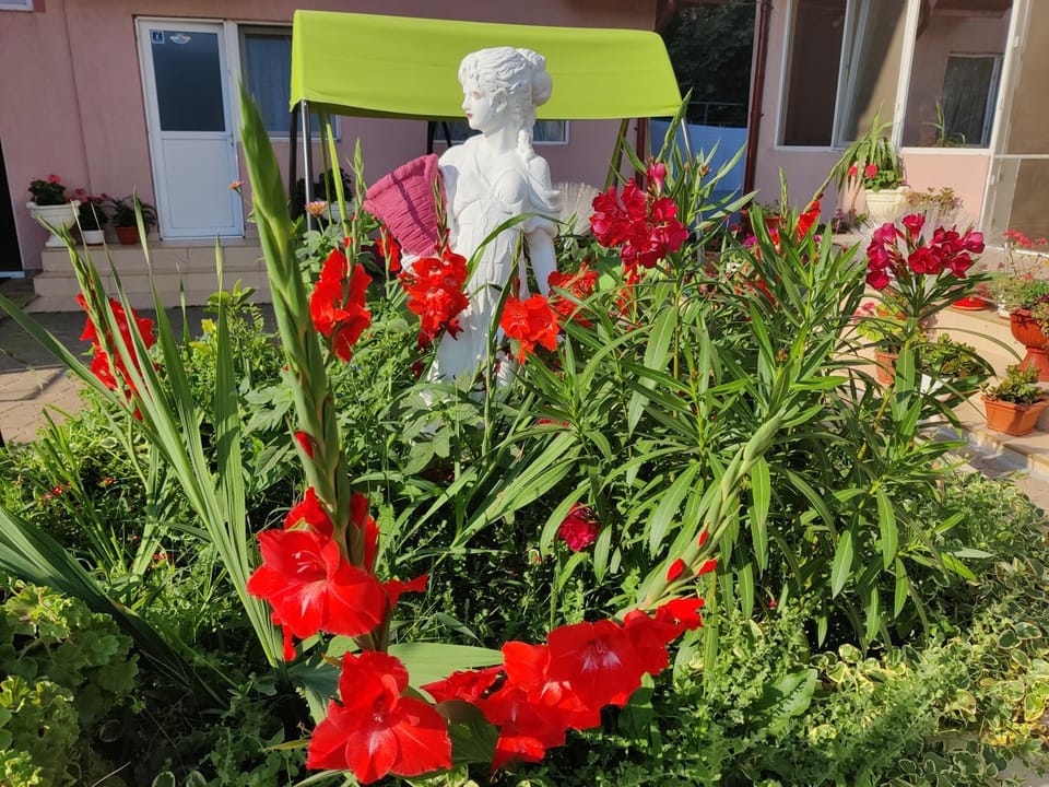 La Fery din Costinesti Bed and Breakfast in Constanța County