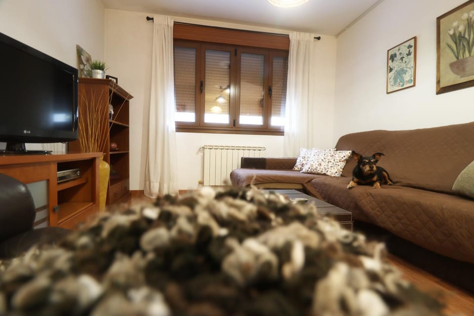 Living room, pet friendly