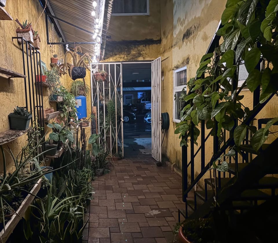 Night, Garden, Garden view
