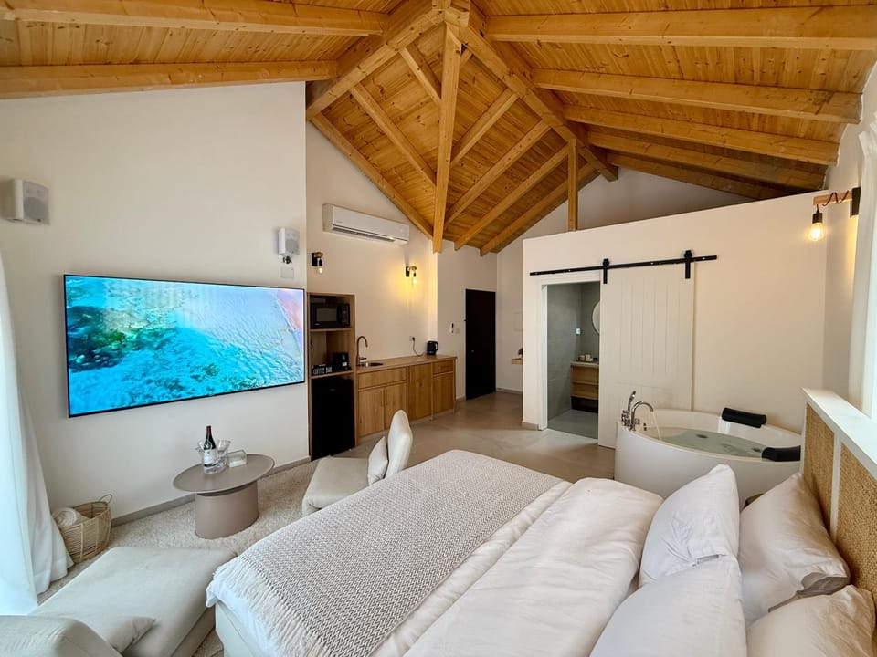 Bed, TV and multimedia, Living room, Photo of the whole room, Seating area, Bedroom