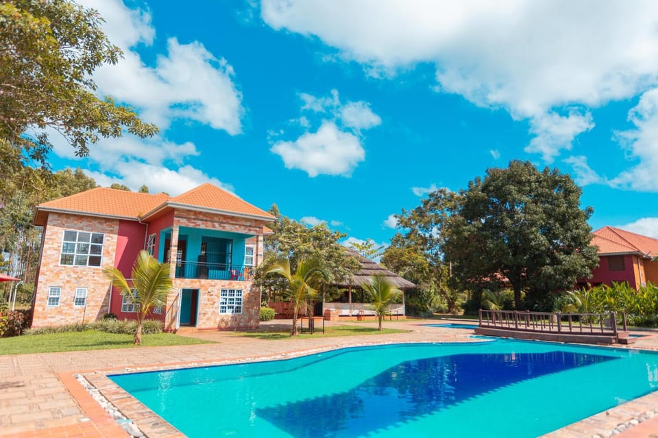Pool view, Swimming pool