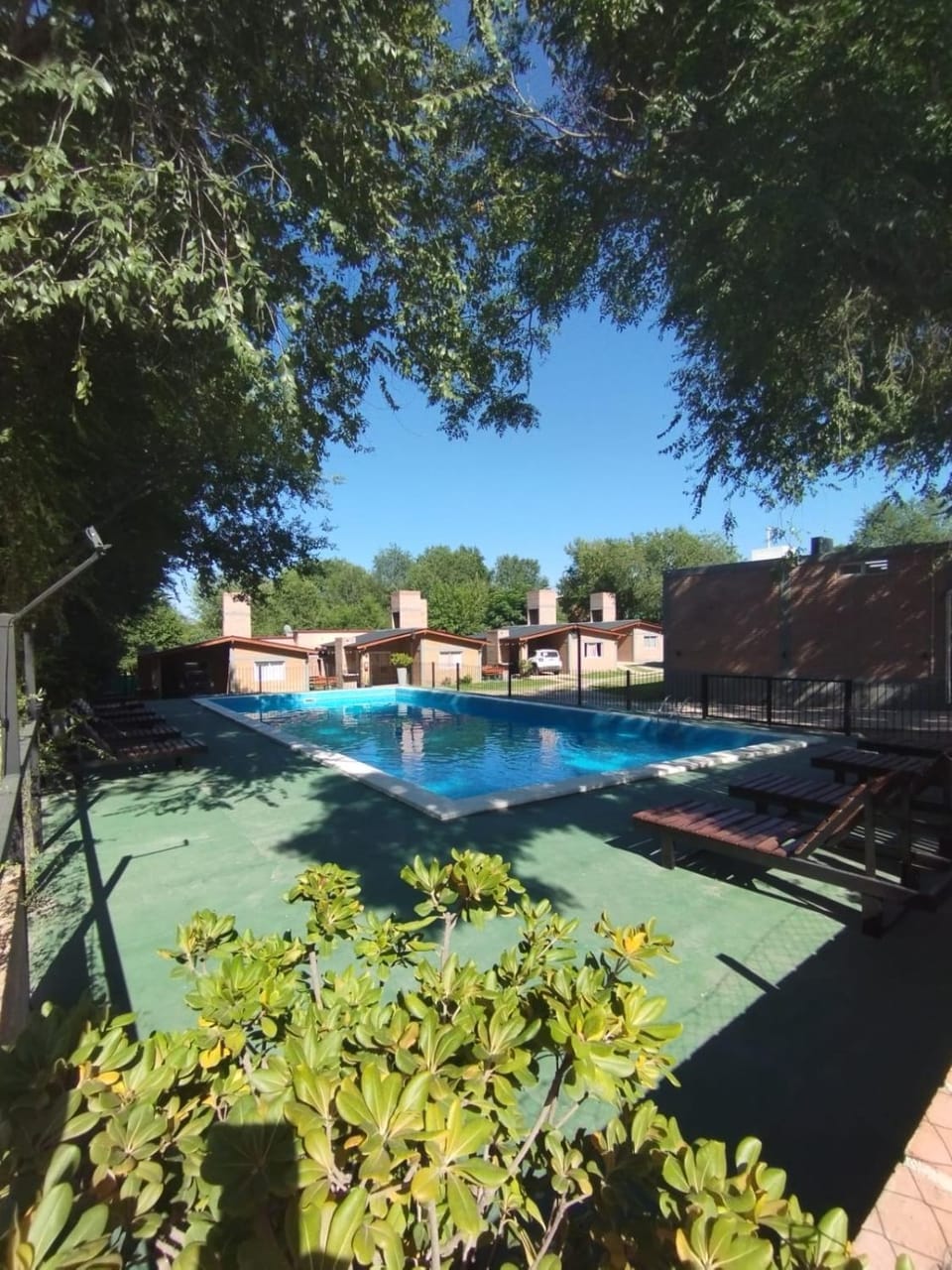 Day, Pool view, Swimming pool, sunbed