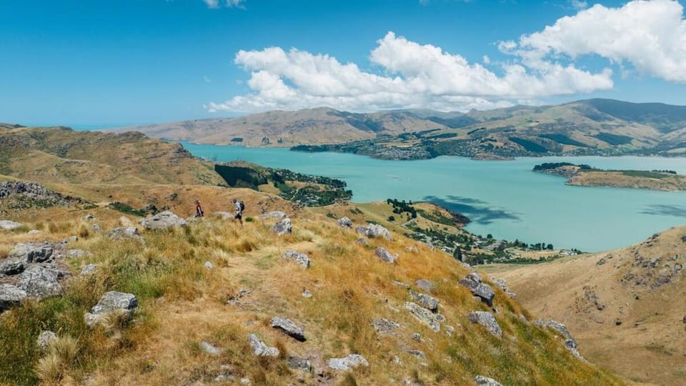 Two Units - 4 Bedrooms - 4 Bathrooms Apartment in Christchurch