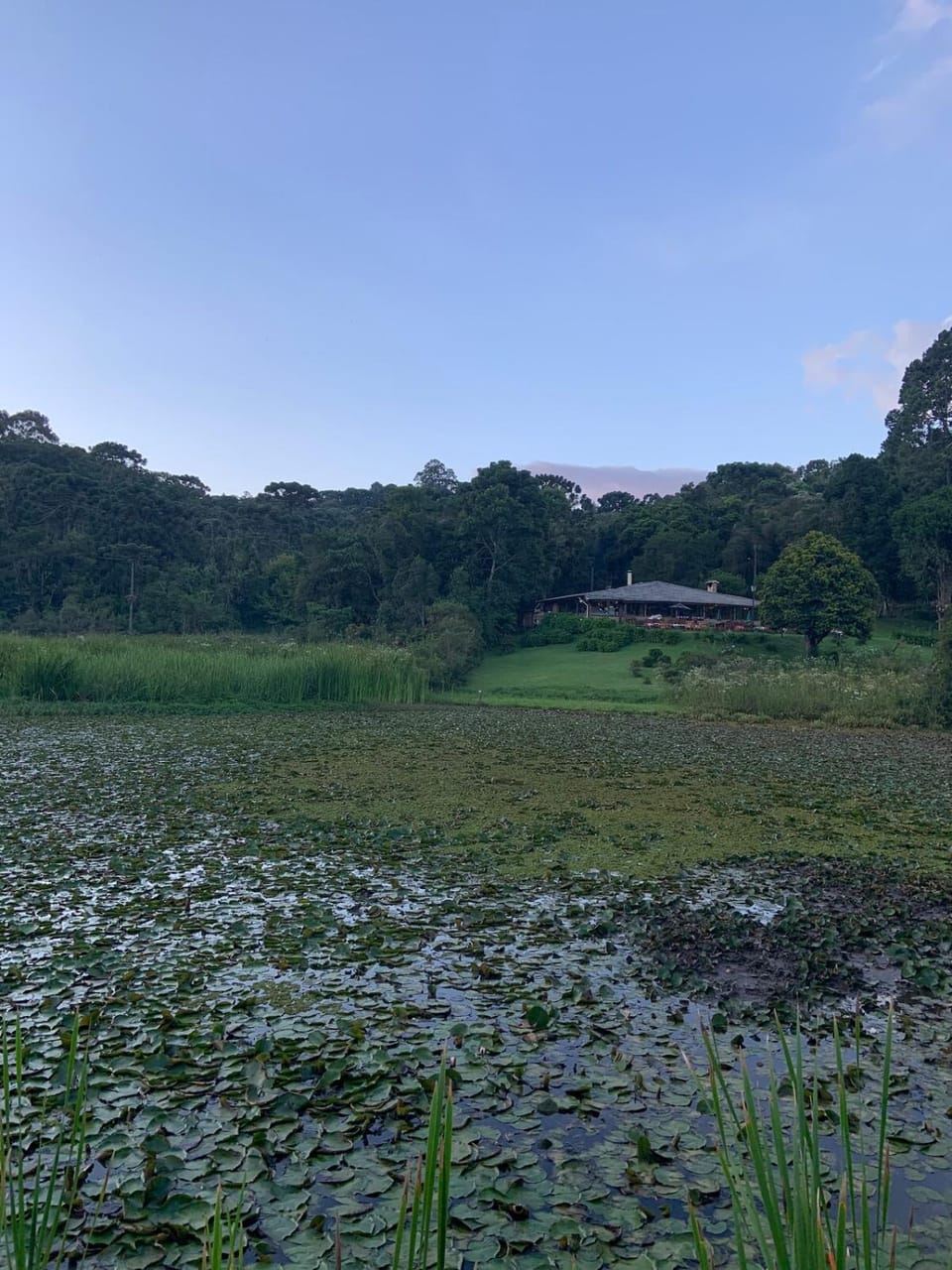 Lake view