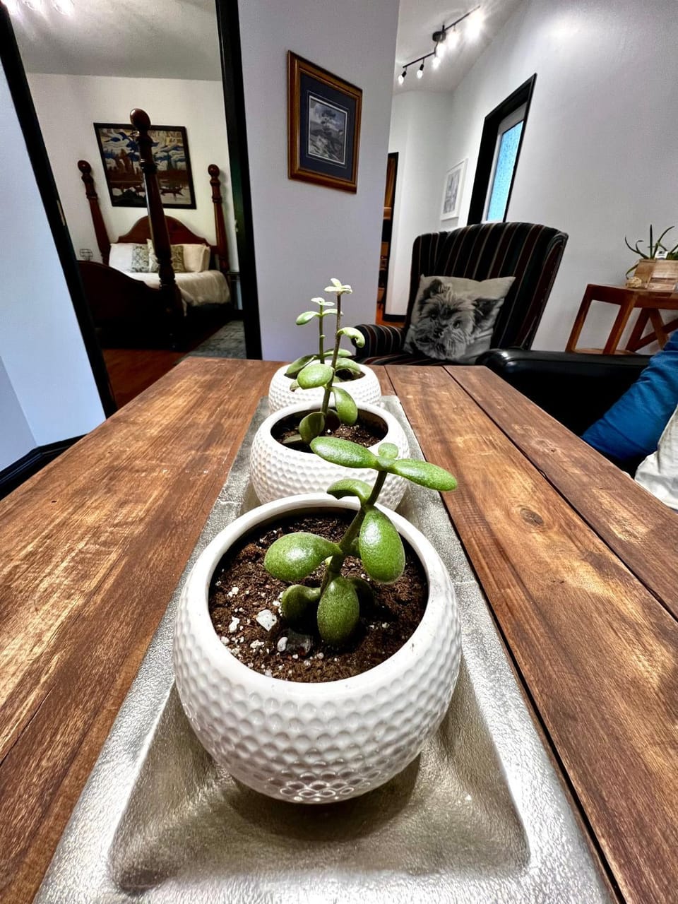 The Family Cottage Villa in Delta