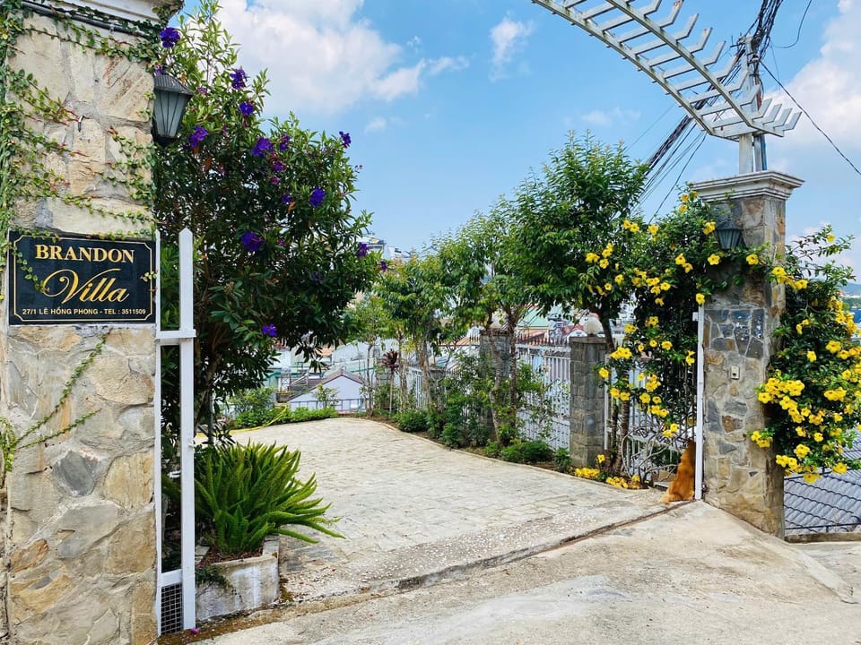 Day, Garden
