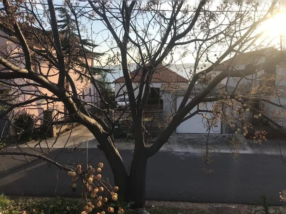 Beachfront Villa Ksenija - 4 bedrooms & parking Villa in Šibenik-Knin County, Croatia