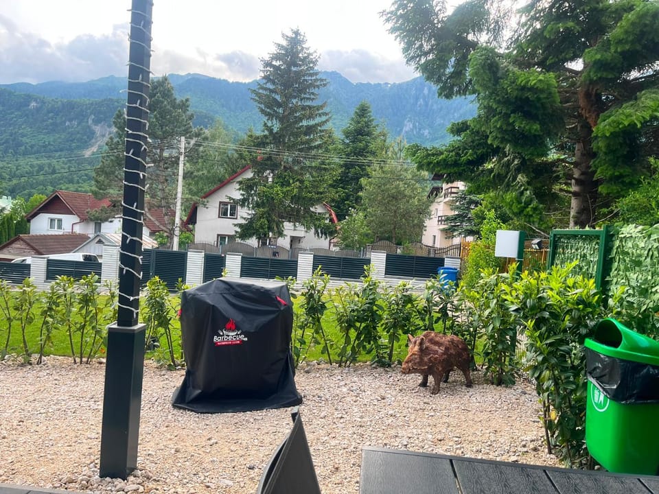 Spring, Day, Natural landscape, BBQ facilities, Garden, Mountain view