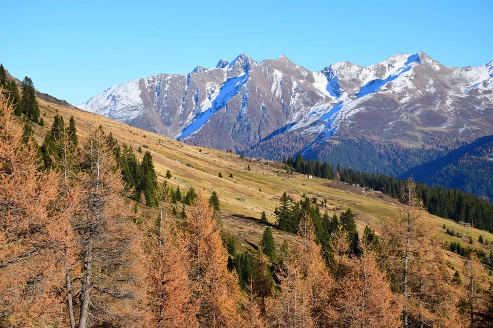 Ferienwohnungen Reinalter Farm Stay in Trentino-South Tyrol