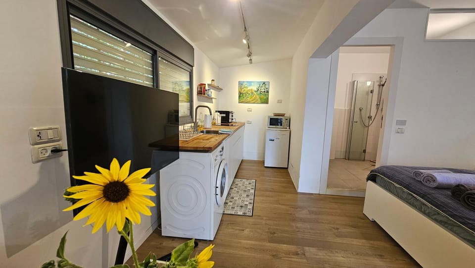 TV and multimedia, Kitchen or kitchenette, minibar, washing machine