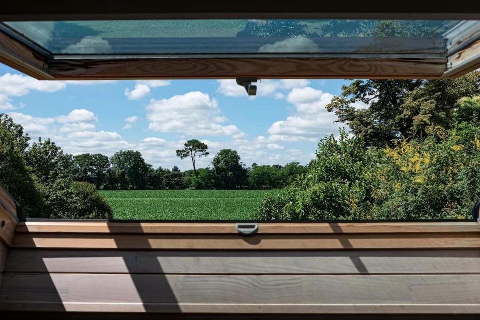 Garden, View (from property/room), Garden view