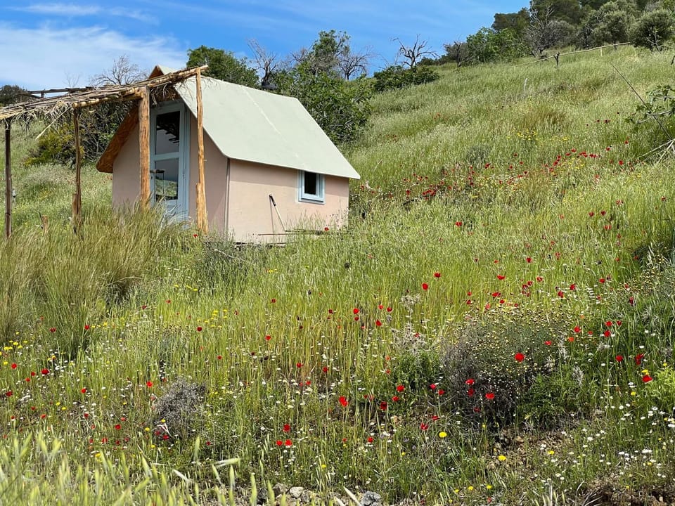 Lava houses Country House in Islands