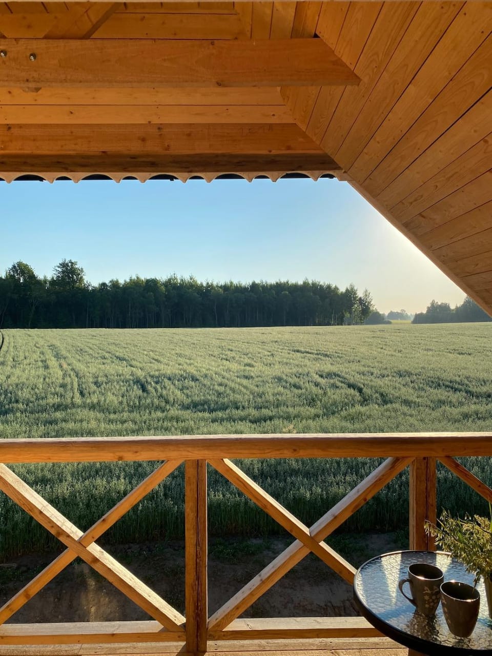 View (from property/room), Balcony/Terrace