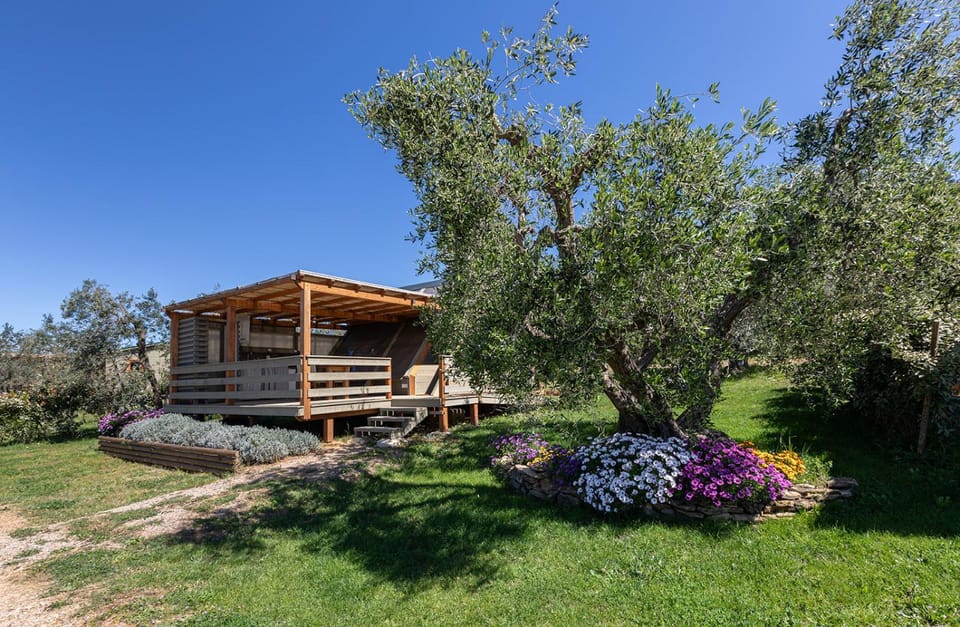 Property building, Spring, Day, Natural landscape, Garden, Garden view