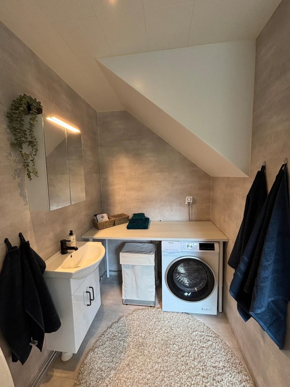 Bathroom, towels, laundry, washing machine, dryer