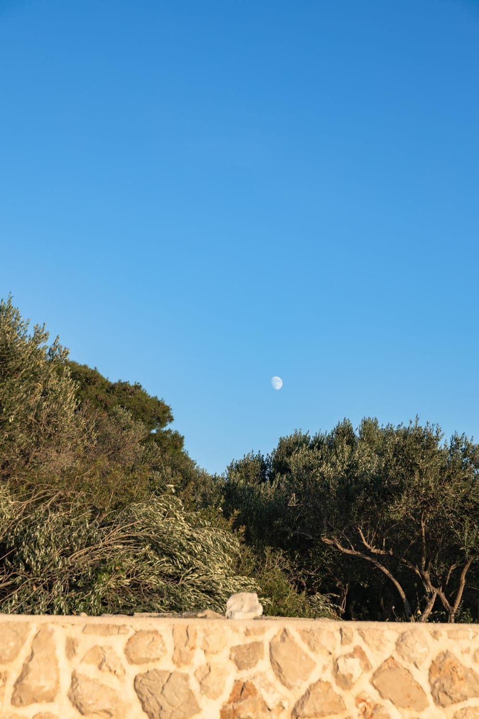 Robinzonska kuća Mir Podvrške Murter House in Murter