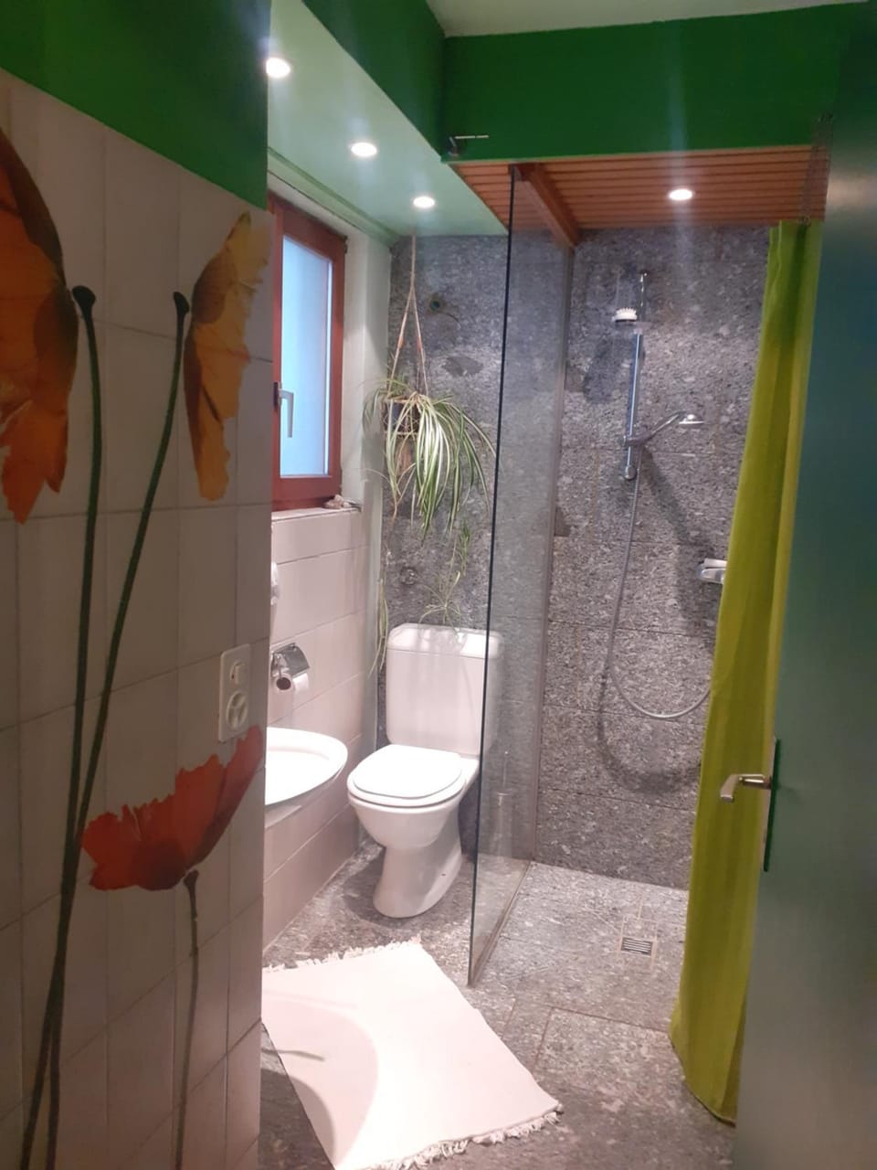 Shower, Toilet