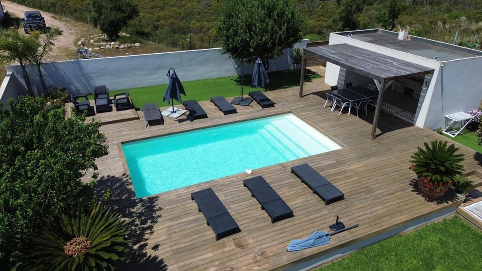 Garden, Swimming pool, sunbed