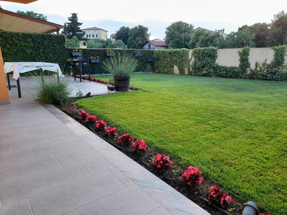 Garden view