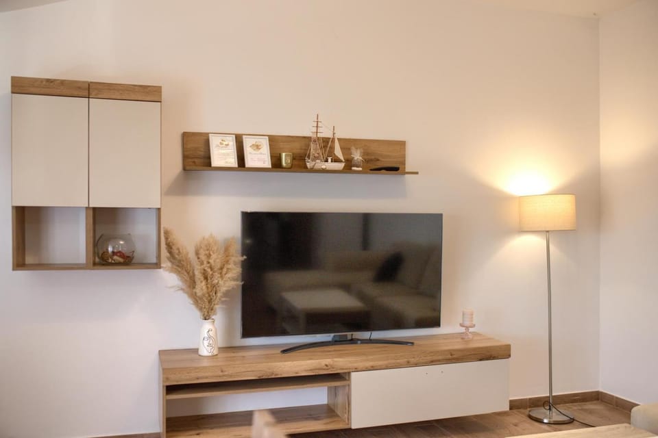 TV and multimedia